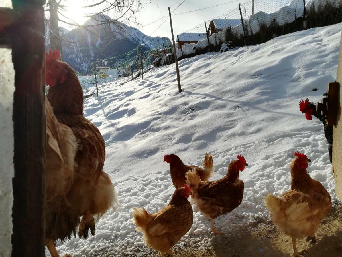 Farm stay Bigraberhof