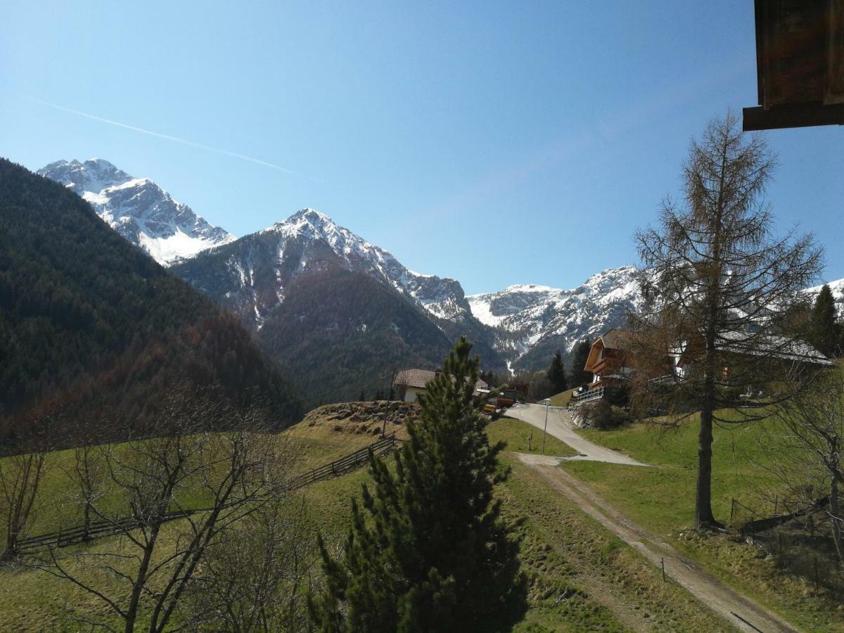 Bigraberhof Farm stay *