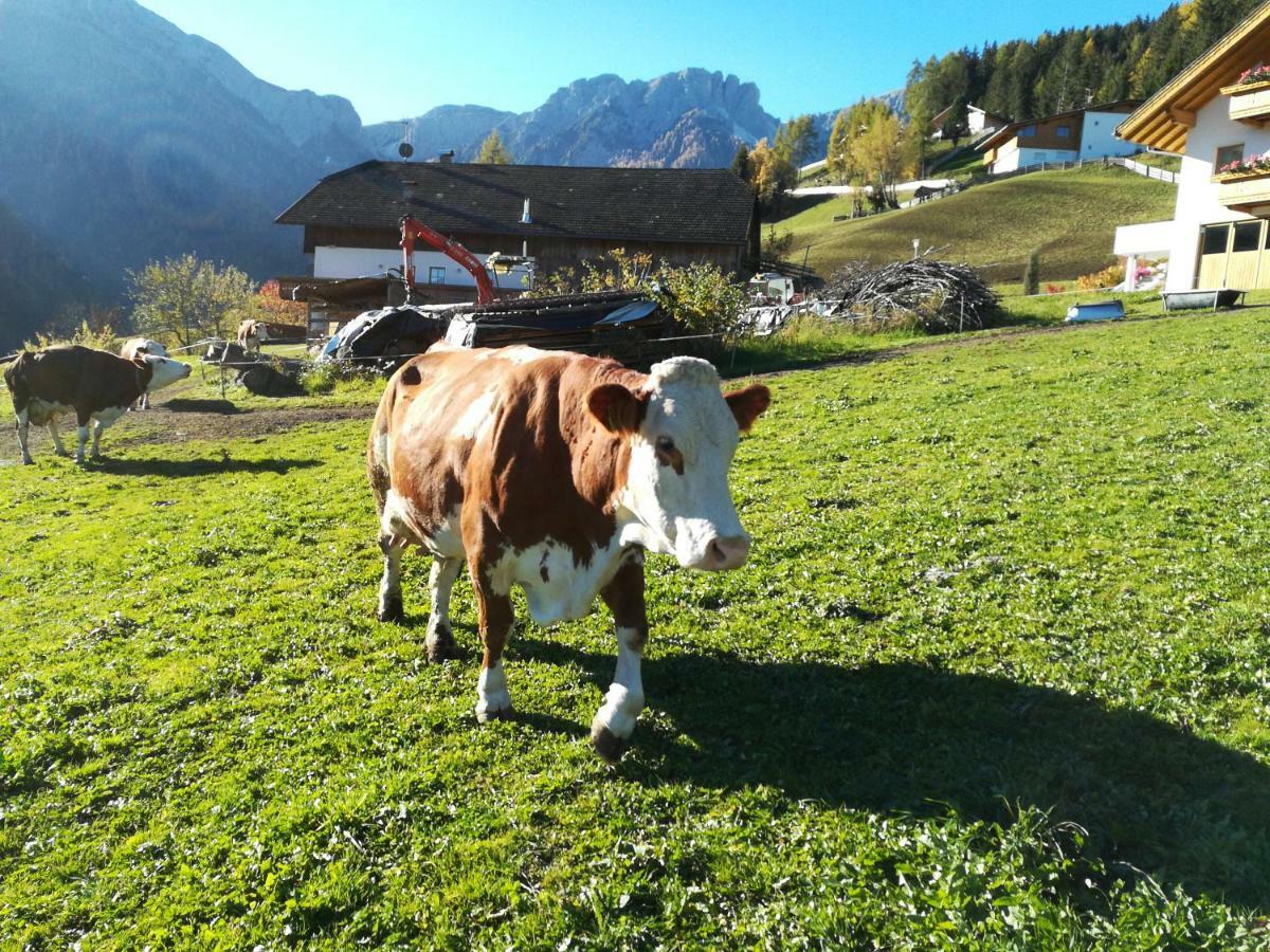 Bigraberhof Farm stay *