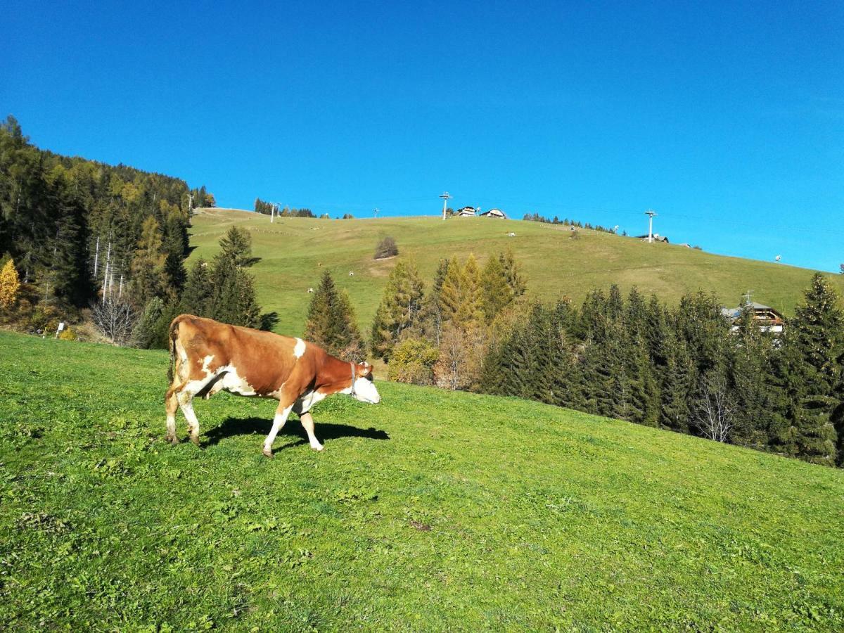 Bigraberhof Farm stay Olang