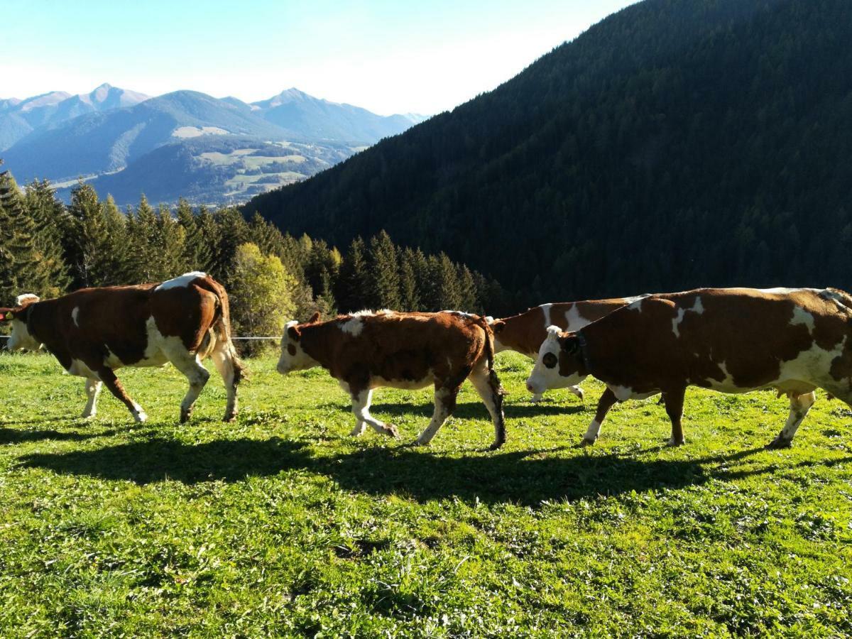 Bigraberhof