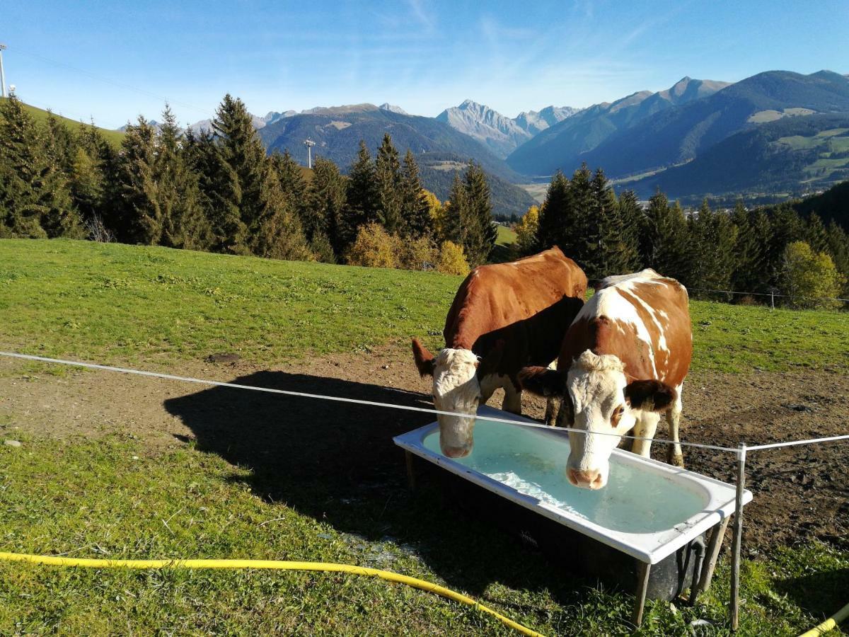 Bigraberhof Séjour à la ferme *